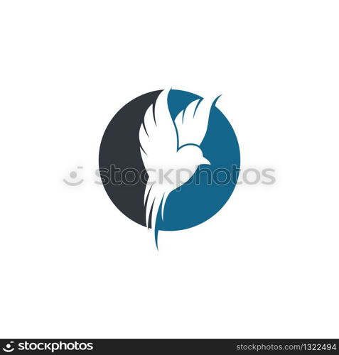 Hummingbird logo template vector icon illustration design