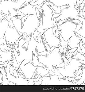 Hummingbird seamless pattern. Exotic theme vector background