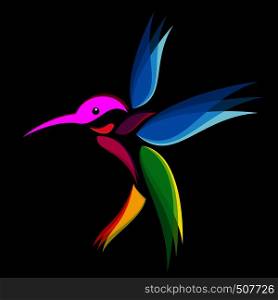 Hummingbird vibrant colors on a black background