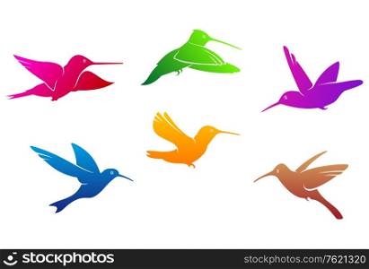 Hummingbirds symbols set with color plumage isolated on white background