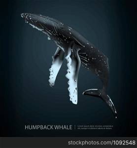 Humpback Whale Under the Sea Vector Illustration