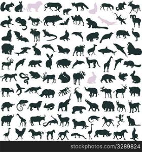 Hundred silhouettes of wild animals, birds and reptiles