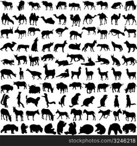 Hundred silhouettes of wild animals from Asia and America