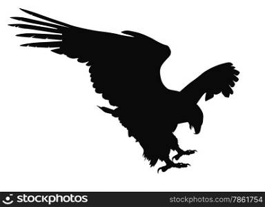 Hunting eagle detailed vector silhouette