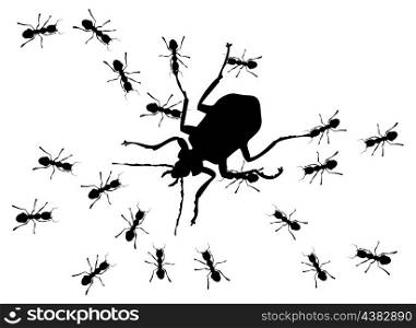 Hunting of ants. Hunting of ants for the big bug. A vector illustration