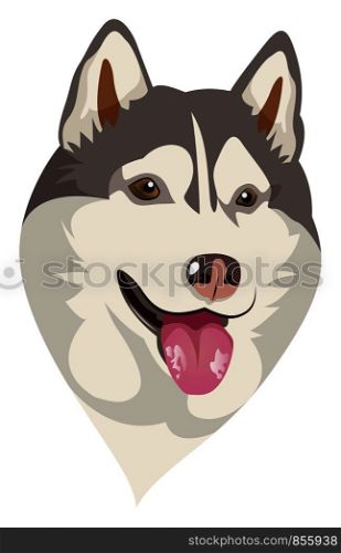 Husky illustration vector on white background