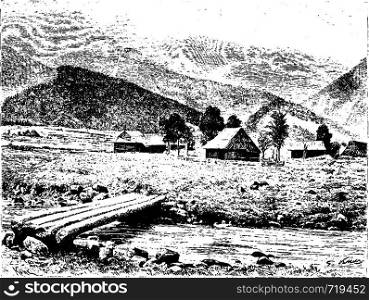 Huts of the Village of Zakopane in Tatra, Poland, drawing by G. Vuillier from a photograph, vintage engraved illustration. Le Tour du Monde, Travel Journal, 1881