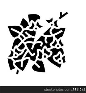 hyacinth bean glyph icon vector. hyacinth bean sign. isolated symbol illustration. hyacinth bean glyph icon vector illustration
