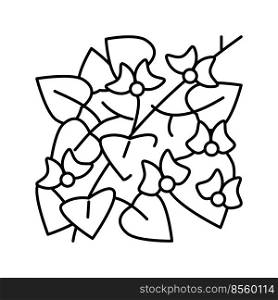 hyacinth bean line icon vector. hyacinth bean sign. isolated contour symbol black illustration. hyacinth bean line icon vector illustration