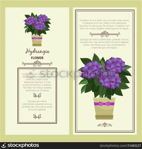 Hydrangea flower in pot vector advertising banners for shop design. Hydrangea flower in pot banners