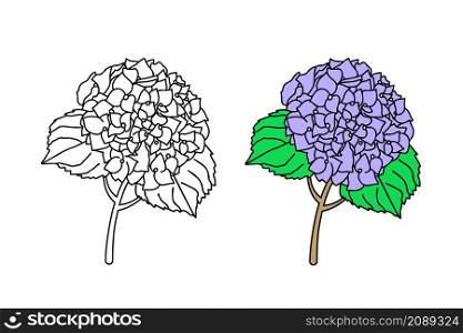 Hydrengea Flower with leave. Line art style, vector illustration.
