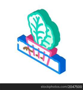 hydroponics agricultural plant isometric icon vector. hydroponics agricultural plant sign. isolated symbol illustration. hydroponics agricultural plant isometric icon vector illustration