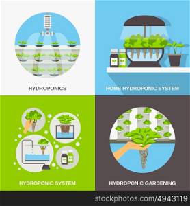 Hydroponics Flat Concept. Color flat composition 2x2 depicting hydroponic system gardering vector illustration