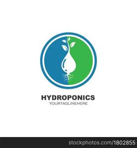 hydroponics icon vector illustration design template