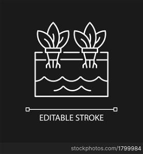 Hydroponics white linear icon for dark theme. Grow plants without soil. Use nutrients for plants. Thin line customizable illustration. Isolated vector contour symbol for night mode. Editable stroke. Hydroponics white linear icon for dark theme