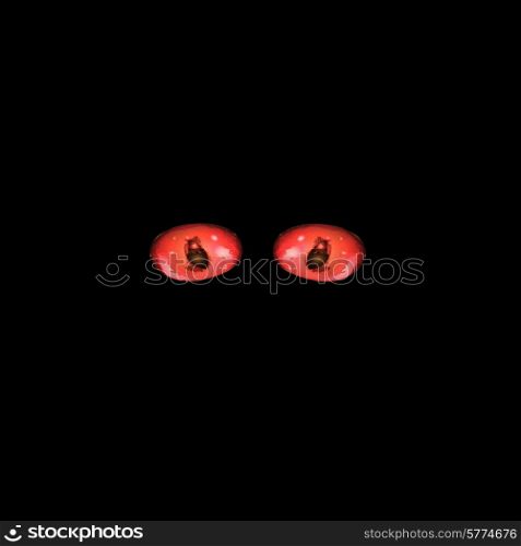 Hypnotic red cat eyes in darkness. Vector illustration