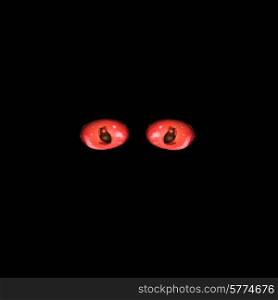 Hypnotic red cat eyes in darkness. Vector illustration
