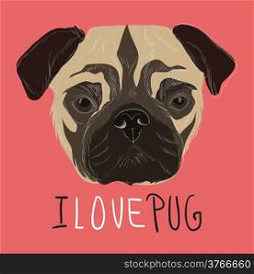 I love pug illustration with hand drawn pug portrait