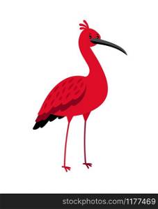 Ibis red bird cartoon icon isolated on white background, vector illustration. Ibis red bird cartoon icon