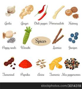 Icon big set of popular culinary spices. Big set of culinary spices. Isolated vector illustration. Poppy seeds, juniper, turmeric, mixed peppercorns, Horseradish, ginger, chili pepper, garlic nutmeg anise licorice wasabi tamarind