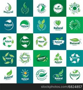 icon natural product. template design of icon natural product. Vector illustration icon