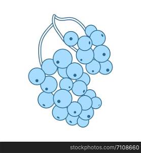 Icon Of Black Currant. Thin Line With Blue Fill Design. Vector Illustration.