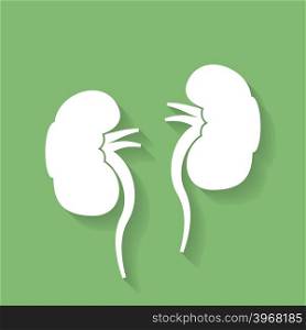 Icon of human kidneys. Flat style vector icon. Icon of human kidneys. Flat style