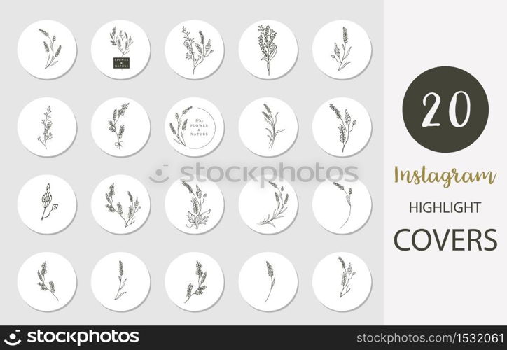 Icon of instagram highlight cover with lavender,flower,leaf in boho style for social media