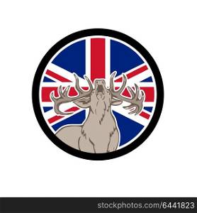 Icon retro style illustration of a British red stag deer, Cervus elaphus, roaring front view with United Kingdom UK, Great Britain Union Jack flag set inside circle on isolated background.. Red Deer Union Jack Flag Icon