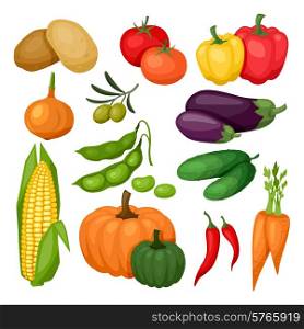 Icon set of fresh ripe stylized vegetables.