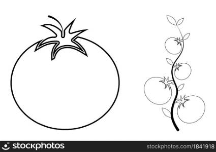 Icon, tomato fruit and bush plants in a linear style. Isolated vector on white background