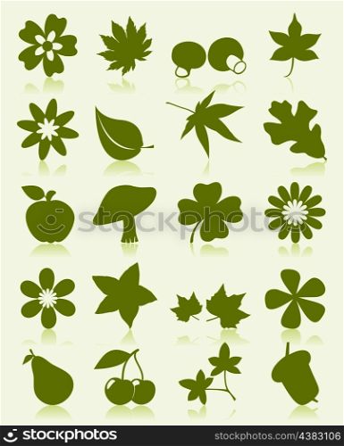 Icons of plant2. Icons of plants of green colour. A vector illustration