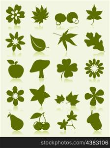 Icons of plant2. Icons of plants of green colour. A vector illustration