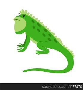 Iguana exotic reptile cartoon icon isolated on white, vector illustration. Iguana exotic reptile cartoon icon