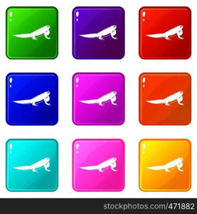 Iguana icons of 9 color set isolated vector illustration. Iguana icons 9 set