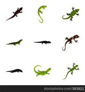 Iguana icons set. Flat illustration of 9 iguana vector icons for web. Iguana icons set, flat style