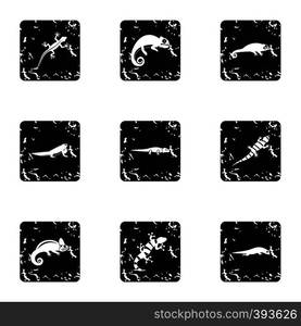 Iguana icons set. Grunge illustration of 9 iguana vector icons for web. Iguana icons set, grunge style