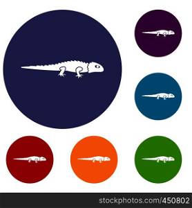 Iguana icons set in flat circle reb, blue and green color for web. Iguana icons set