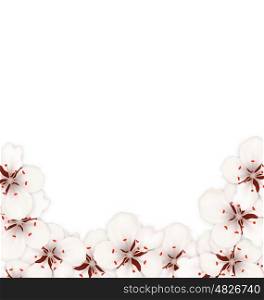 Illustration Abstract Border Made in Sakura Flowers Blossom. Layout, Card, Template, Sakura, Japan, Invitation - Vector