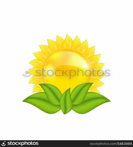 Illustration abstract sun with green leaves, isolated on white background - vector