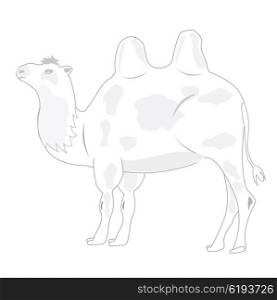 Illustration animal camel on white background. Drawing of the camel on white background