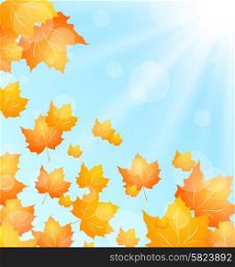 Illustration Autumn Background with Flying Maples and Sunny Beams - Vector