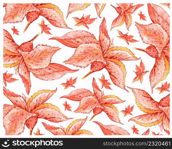 Illustration Background of Beautiful Acalypha Wilkesiana, Jacob&rsquo;s Coat, Copper Beef-Steak, Lilac Tasselflower, Cupid&rsquo;s Shaving Brush Plants.