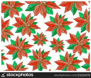 Illustration Background of Hand Drawn Sketch of Christmas Poinsettia or Euphorbia Pulcherrima Plant Sign for Christmas Celebration.