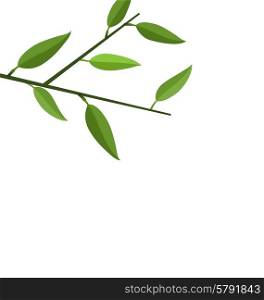 Illustration Bamboo Branch Tree with Green Leaf isolated on white - vector