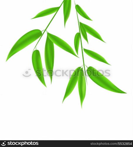 Illustration bamboo leaves pattern with space for your text - vector