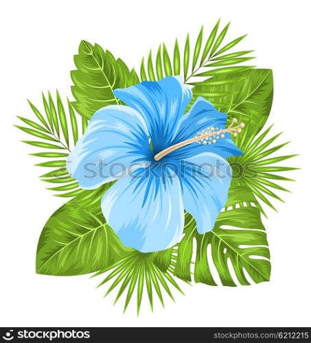 Illustration Beautiful Blue Hibiscus Flowers Blossom and Tropical Leaves, Isolated on White Background - Vector