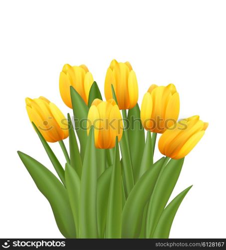 Illustration Beautiful Bouquet with Yellow Tulips Flowers Isolated on White Background - Vector