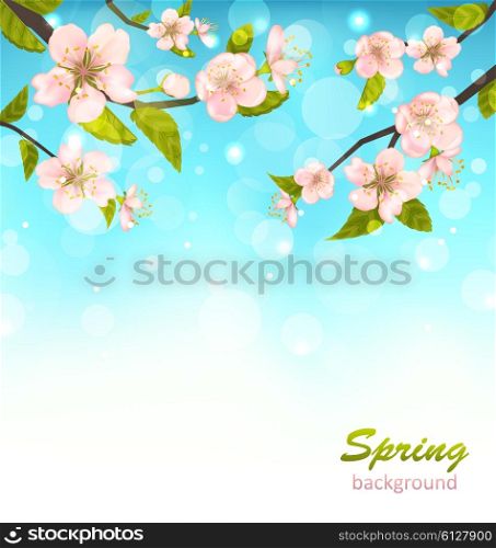 Illustration Beautiful Cherry Blossom, Branches of Tree, Natural Glowing Background - Vector