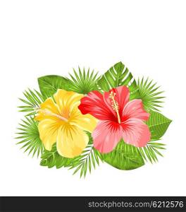 Illustration Beautiful Colorful Hibiscus Flowers Blossom and Tropical Leaves, Isolated on White Background. Copy Space for Your Text - Vector